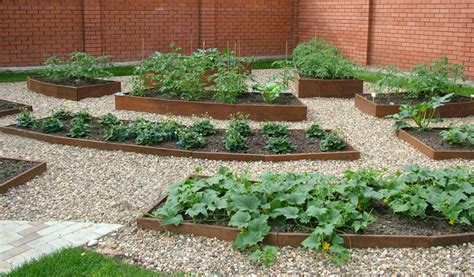 Материалы для обустройства дорожек между грядками — Erfolg