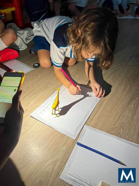 Atividade Luz E Sombra Educação Infantil - Colégio Santa Madalena Sofia - Sombra e luz são o foco da atividade da ...