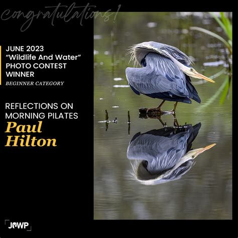 Monthly Photo Contest Winners - Journal of Wildlife Photography