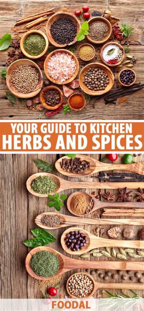 ultimate guide  kitchen herbs spices  complete list foodal