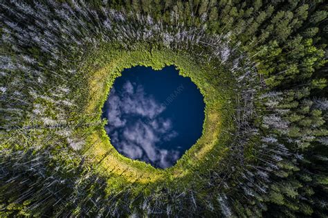 Small forest lake, southern Estonia - Stock Image - C051/9379 - Science ...