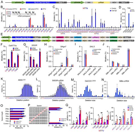 Uestc Collaborate To Develop Compact Crispr Cas12j2 Plant Genome