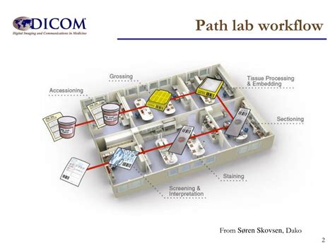 Ppt Procedure Step Approaches For Pathology Lab Workflow Powerpoint Presentation Id3256094