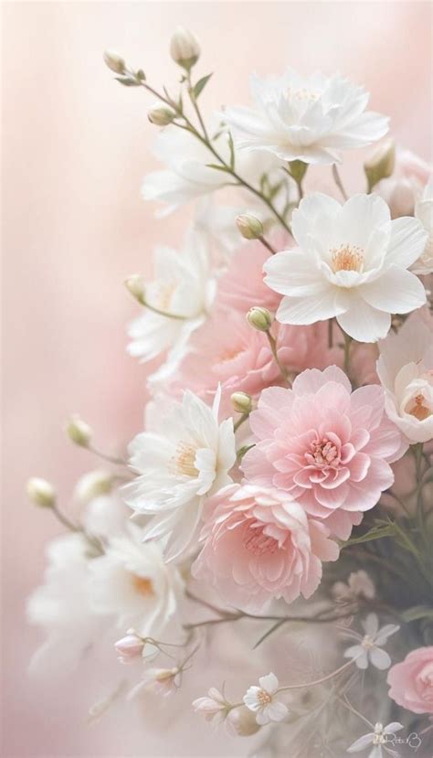 by Misha Alexis II on ♔ Les Jardins Pastels in 2025 | Flower iphone ...