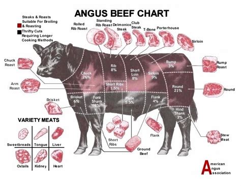 Angusbrangus Cortes Angus