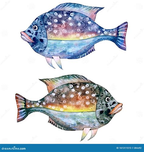 Fabulous Blue Fish. Watercolor on White Background Stock Image - Image ...