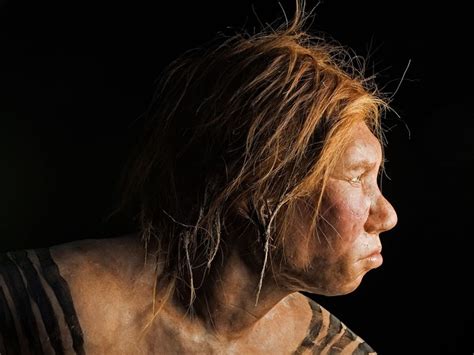 Neanderthals Humans Interbred—first Solid Dna Evidence