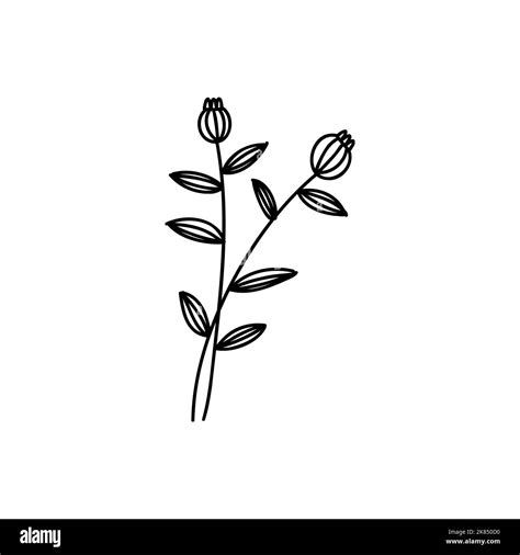 Doodle Flower Tattoo Outline Floral Sketches Vector Hand Drawn