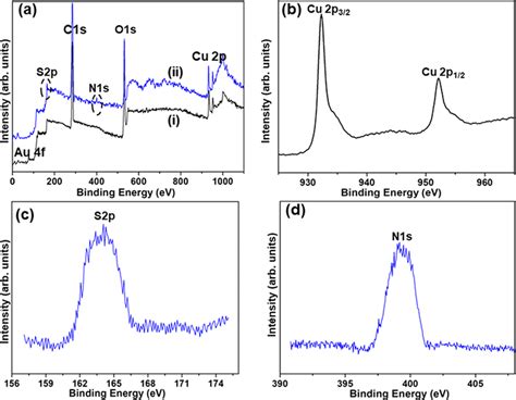 A Survey Scan XPS Spectra Of I Ii AuNRs Cu 2 O RGO Nanocomposite