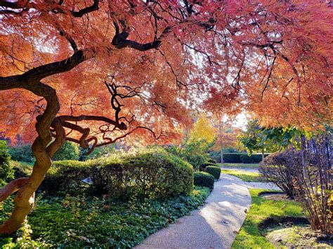 Autumn On Tennis Place Joe Shlabotnik Flickr