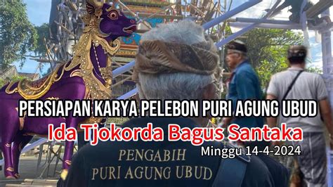 Persiapan Termegah Tragtag Tertinggi Dan Bade Mtr Serta Lembu Tangi