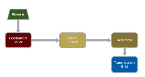 Direct Combustion Biopower · Energy Knowledgebase