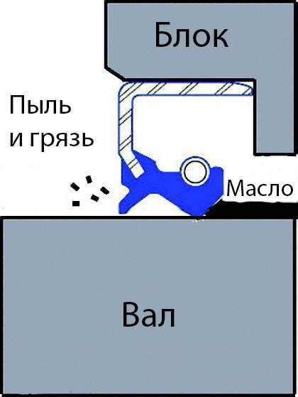«Как устроены и работают сальники» Часть 1 | Авторские статьи. Механика