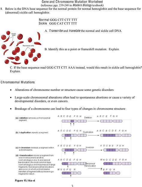 Gene And Chromosome Mutation Worksheet