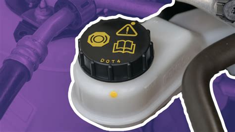 Comparing Costs: DIY Brake Fluid Change vs Professional Service - Opple ...