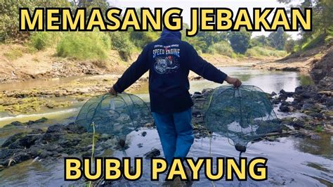 Memasang Jebakan Bubu Payung Di Sungai Yang Surut Youtube