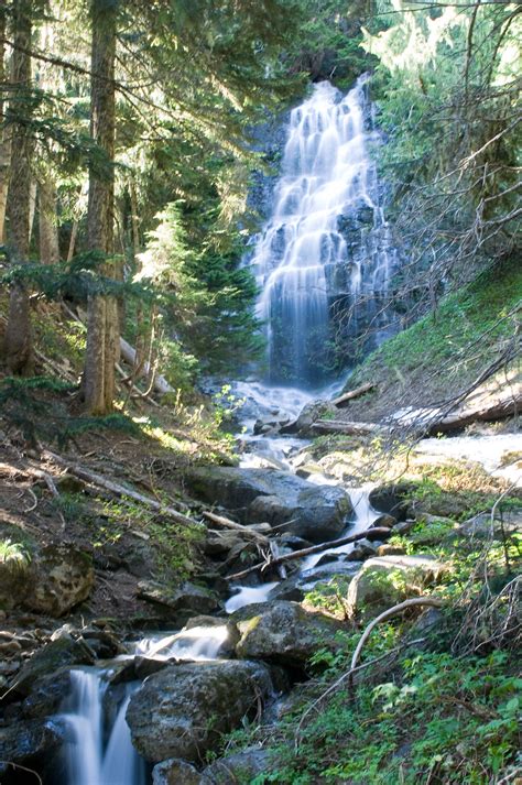 Waterfall In Forest