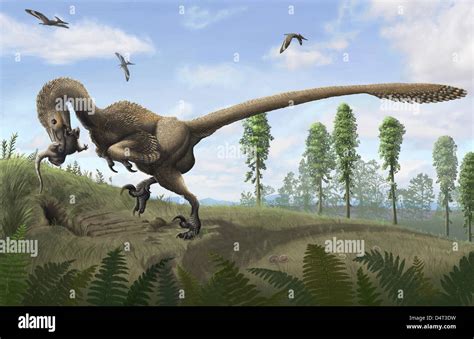 Saurornitholestes, a Cretaceous dromaeosaur of North America, may have ...