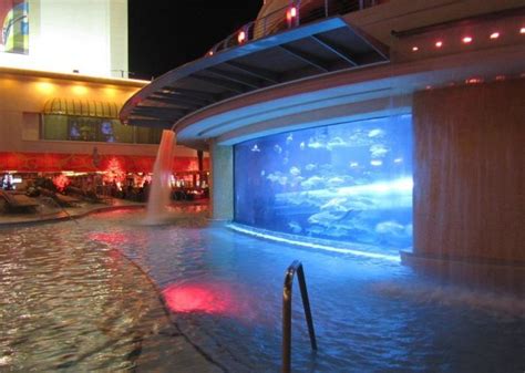 The One Place In Nevada That Lets You Slide Through A Shark Tank Las