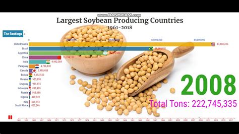 Largest Soybean Producing Countries 1961 2018 Most Soybean Producing