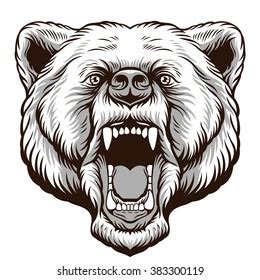 Beartooth Logo Vector (.AI) Free Download