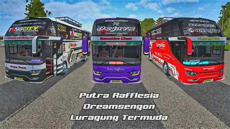 Putra Rafflesia Luragung Termuda Dreamsengon Livery Bussid Srikandi