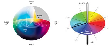 What Is Colorimetry Gophotonics