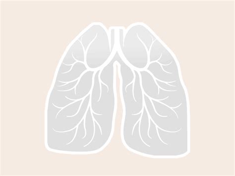 Lung Animation by Natalie Doud on Dribbble