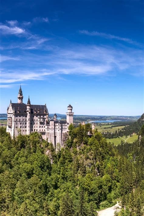 Wallpaper Germany Bavaria Neuschwanstein Castle Mountains Trees