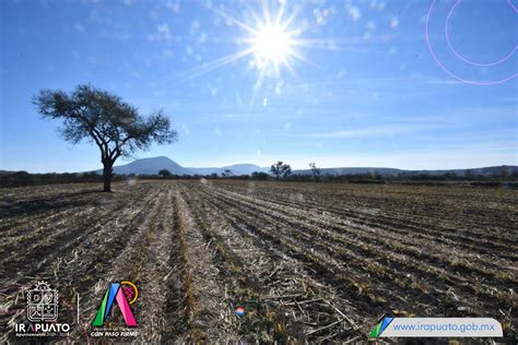 Gestionan Apoyos Para Agricultores Afectados Gobierno Municipal De