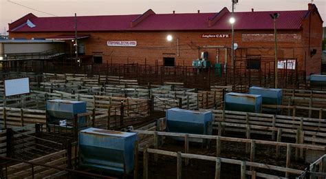 Okc Okc Stockyards Auction Arena And Longhorn Cafe Baron Pressley