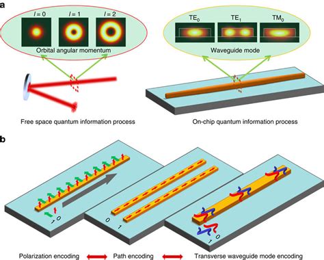 On Chip Coherent Conversion Of Photonic Quantum Entanglement Between