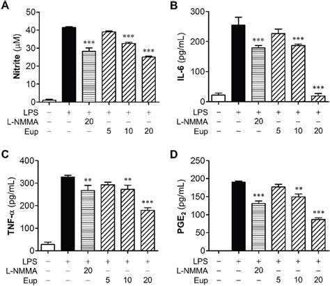 Eupatilin Reduces Inflammatory Responses In LPS Stimulated Microglia