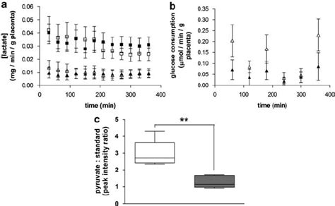 Metabolic Profile Of The Ex Vivo Human Placental Lobule Under Normoxic Download Scientific