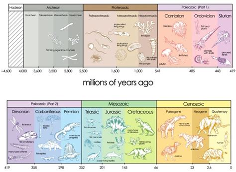 The Geologic Time Scale Lesson