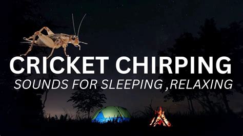 Crickets Chirping Sounds For Sleeping Campfire Sounds Relaxing Cricket Sounds Sleep Sounds