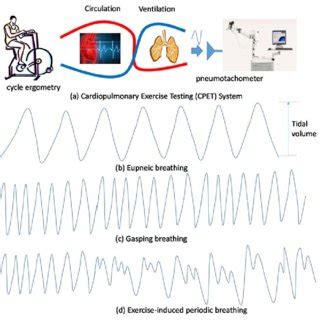 A Cardiopulmonary Exercise Testing CPET System And Breathing