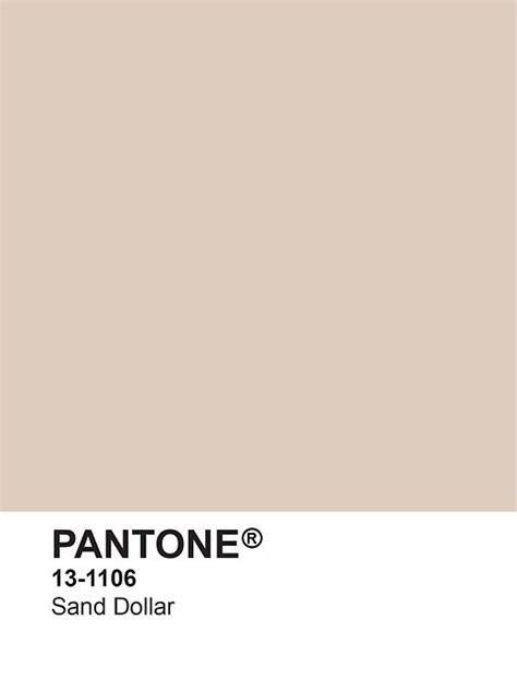 Mumeagency2 Linktree Pantone Palette Pantone Colour Palettes Pantone