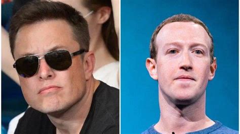 Rencana Duel Elon Musk Vs Mark Zuckerberg Bos Ufc Bicara Soal Jadwal Hingga Rekor Tayangan Tv