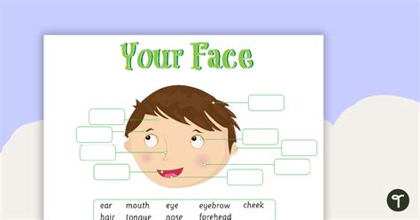 Face Labeling Activity Color Teach Starter