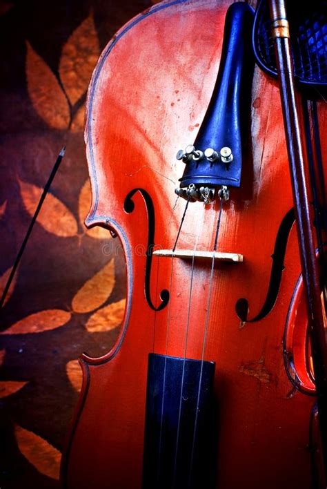 Violin Details Stock Photo Image Of String Detail Instrument 28205176