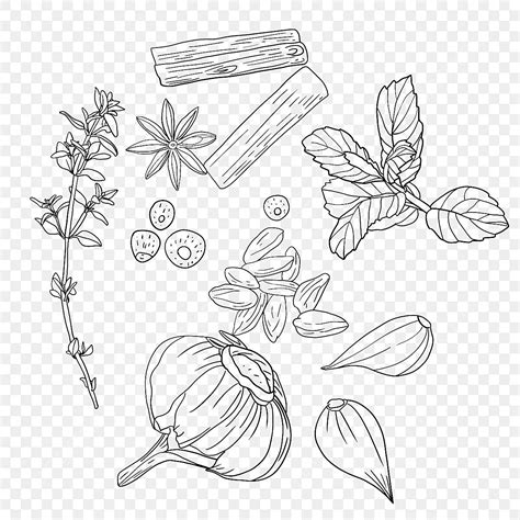 Herbs Lineart Herbs And Spices Ear Drawing Ice Drawing Herbs Drawing