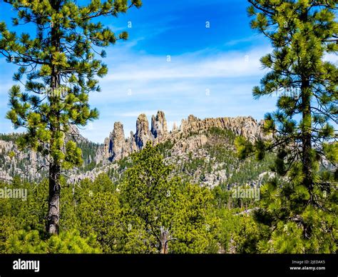 Scenery Along The Needles Highway In Custer State Park In The Black