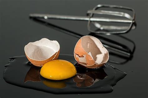 O Que Significa Sonhar Com Ovo Quebrado - Sonhar com ovo quebrado: descubra o que isso significa!