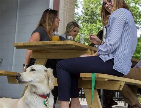 Pet-friendly patios in Greater Cleveland: Best Patio contest ...