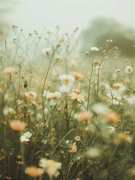 sustainability | Copenhagen Kid