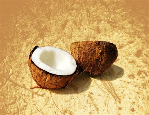 TikTok: What Is the Coconut Challenge?