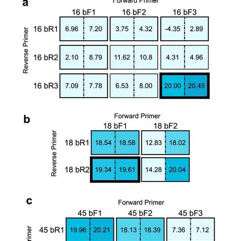 RPA Basic Primer Screening And Optimization Target HPV GBlock DNA And