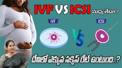 What Is The Difference Between Icsi And Ivf Ivf And Icsi అంటే ఏంటి