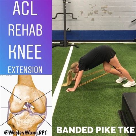 Dr Wesley Wang Pt Dpt On Instagram “acl Rehab Knee Extension —— One Of The Foundational